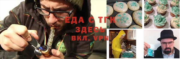 индика Елабуга