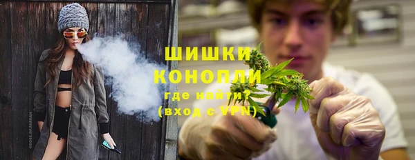 амф Ельня