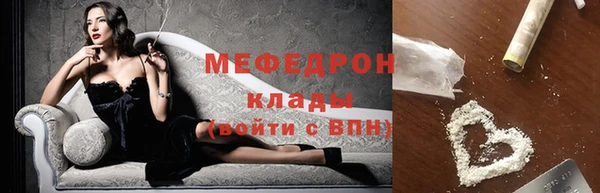 амф Ельня