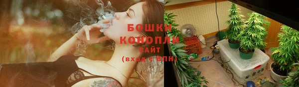 дурь Елизово