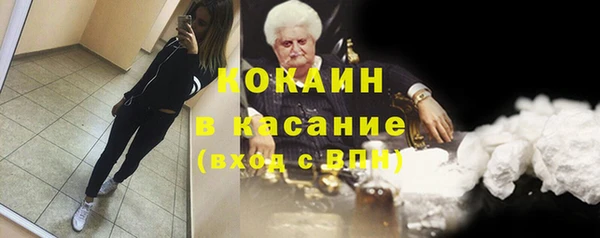 индика Елабуга