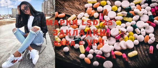 амф Ельня