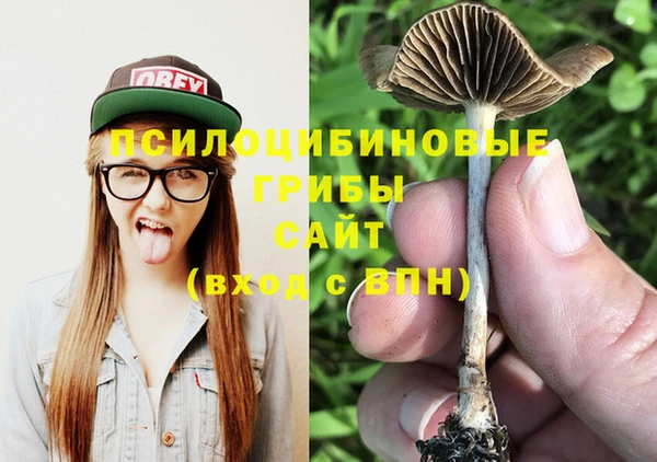 первитин Заволжье