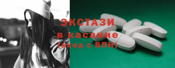 индика Елабуга