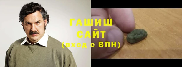 индика Елабуга