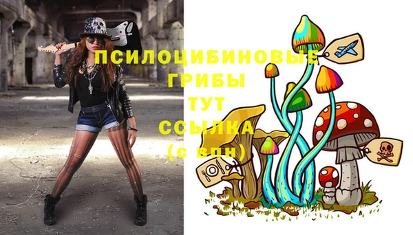 индика Елабуга