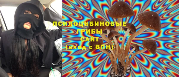 индика Елабуга