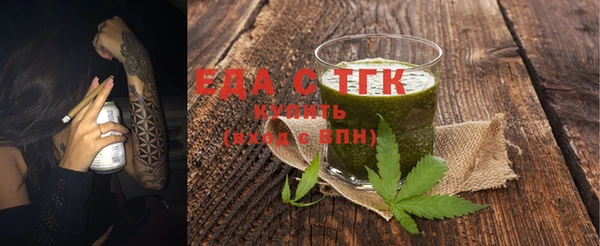 индика Елабуга