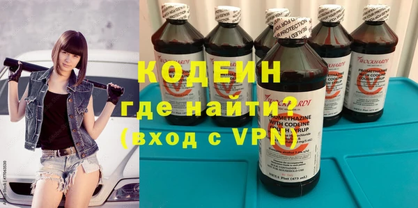 амф Ельня