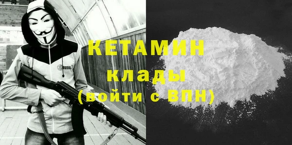 индика Елабуга