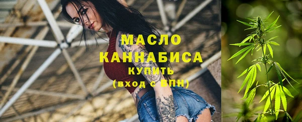 индика Елабуга