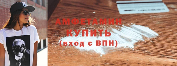 амф Ельня