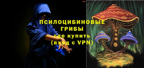 амф Ельня