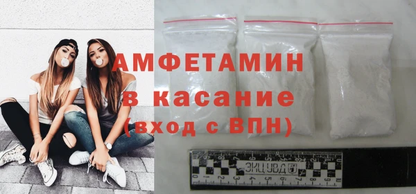 амф Ельня