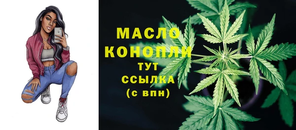 индика Елабуга
