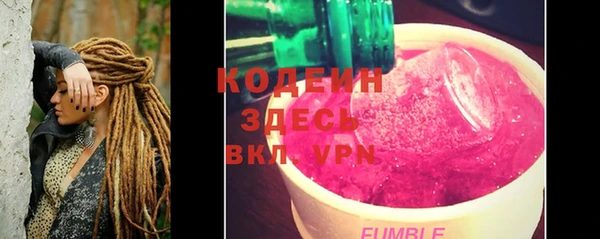 амф Ельня